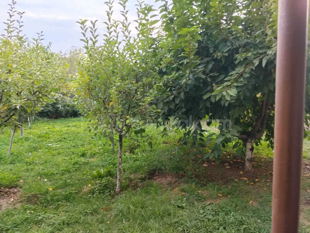 3 Սենյականոց Սեփական Տուն, 281քմ, Կապիտալ Վերանորոգված