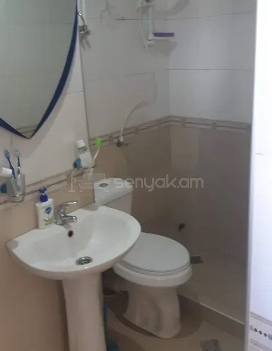 1 Սենյականոց Բնակարան, 26քմ, 15/18 հարկ, Կոսմետիկ Վերանորոգված