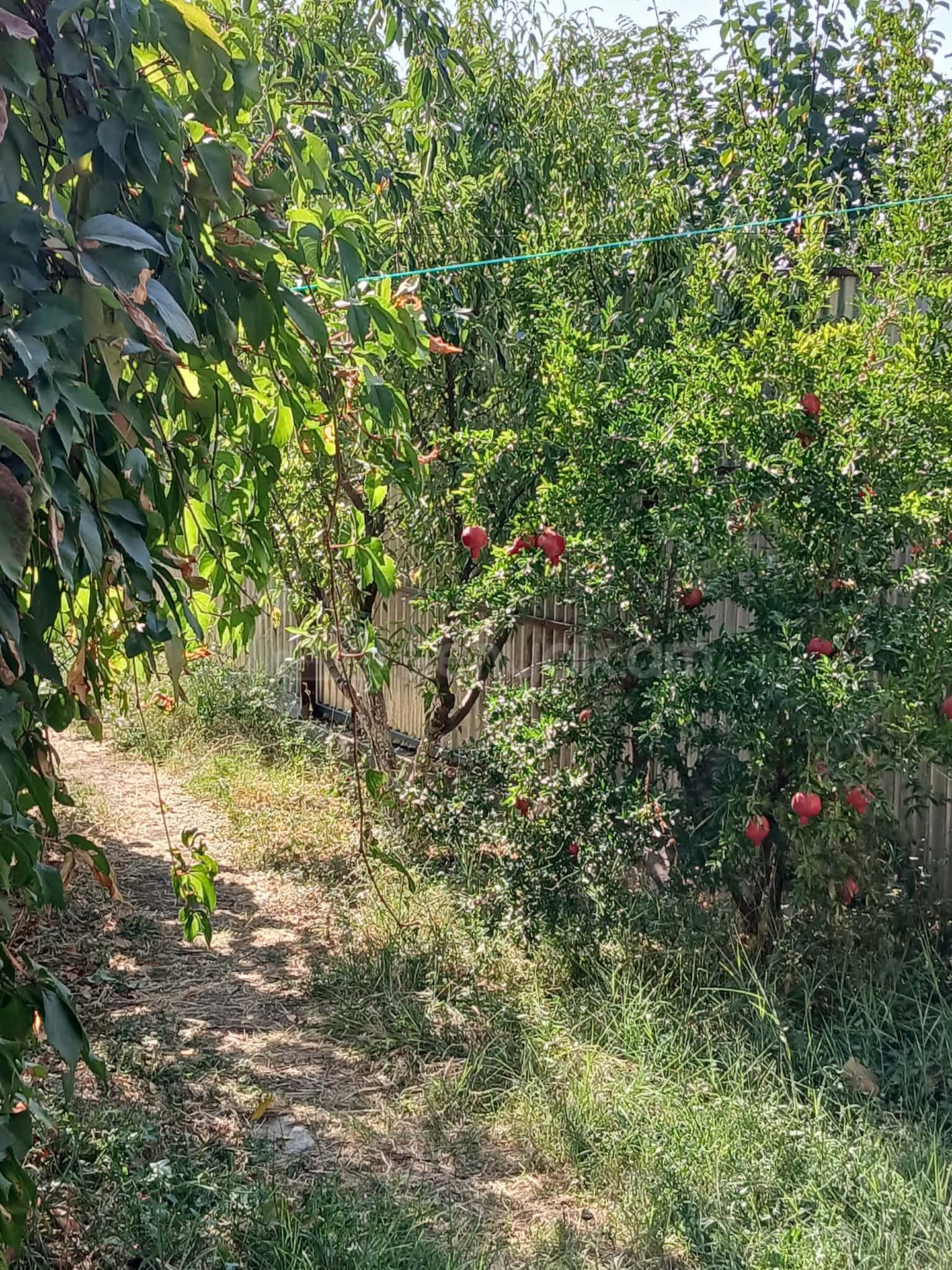2 Սենյականոց Սեփական Տուն, 50քմ, Կոսմետիկ Վերանորոգված