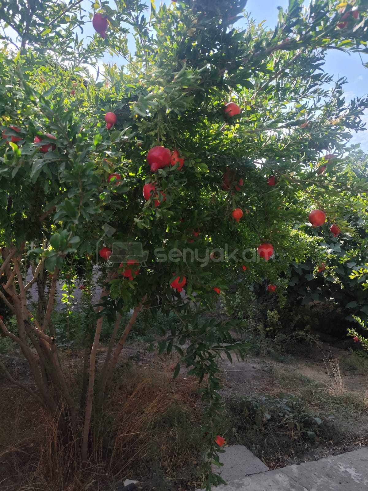 3 Սենյականոց Ամառանոց, 100քմ, Կահավորված