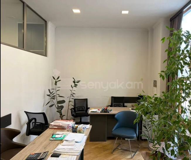 Օֆիսային Տարածք, 110քմ, Կապիտալ Վերանորոգված