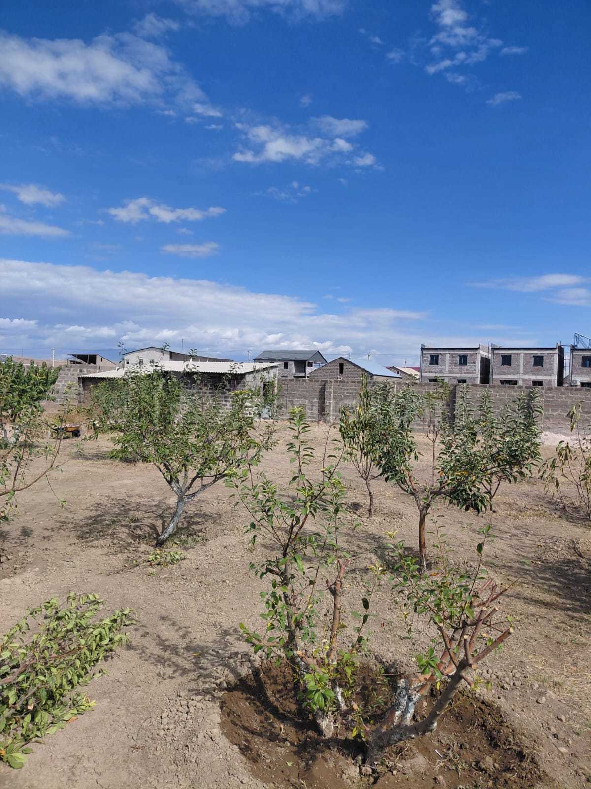 Բնակելի Նշանակության Հողատարածք, 1200քմ, Խմելու Ջրով, Էլեկտրականությամբ, Պարսպապատ