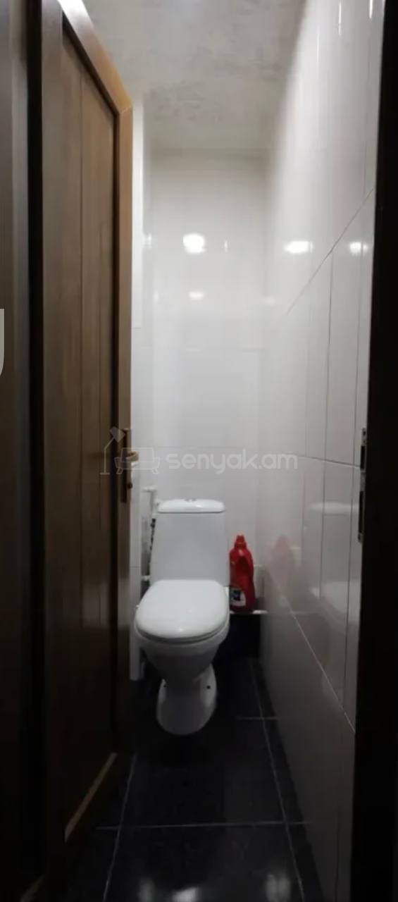 3 Սենյականոց Բնակարան, 100քմ, 8/12 հարկ, Կապիտալ Վերանորոգված