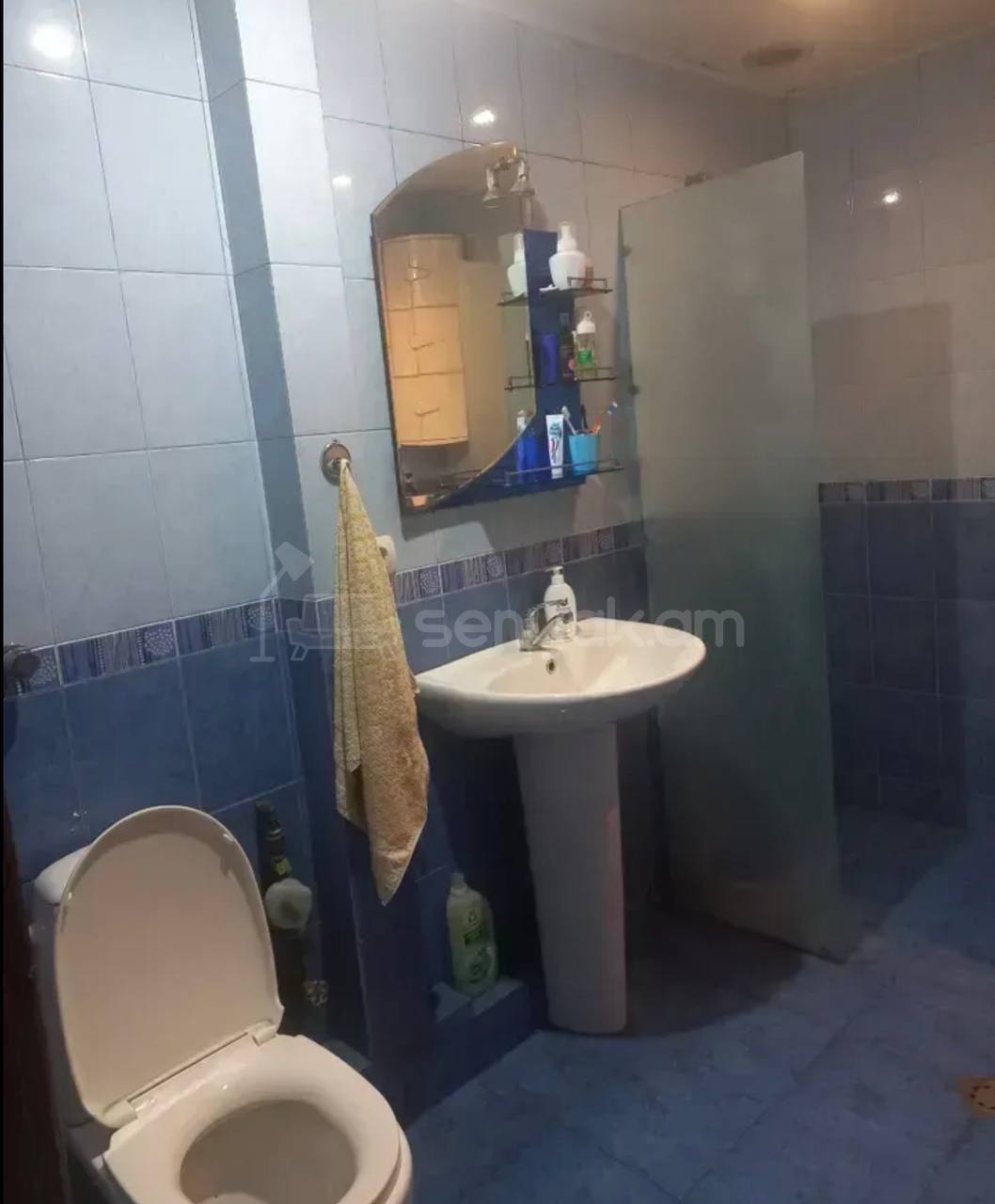 3 Սենյականոց Բնակարան, 68քմ, 6/9 հարկ, Կապիտալ Վերանորոգված