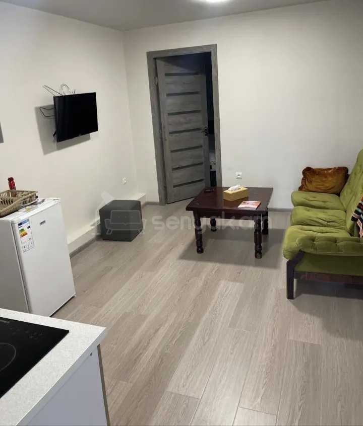 2 Սենյականոց Բնակարան Քարե Շենքում, 42քմ, 1/1 հարկ, Նորմալ Վիճակում, Կահավորված