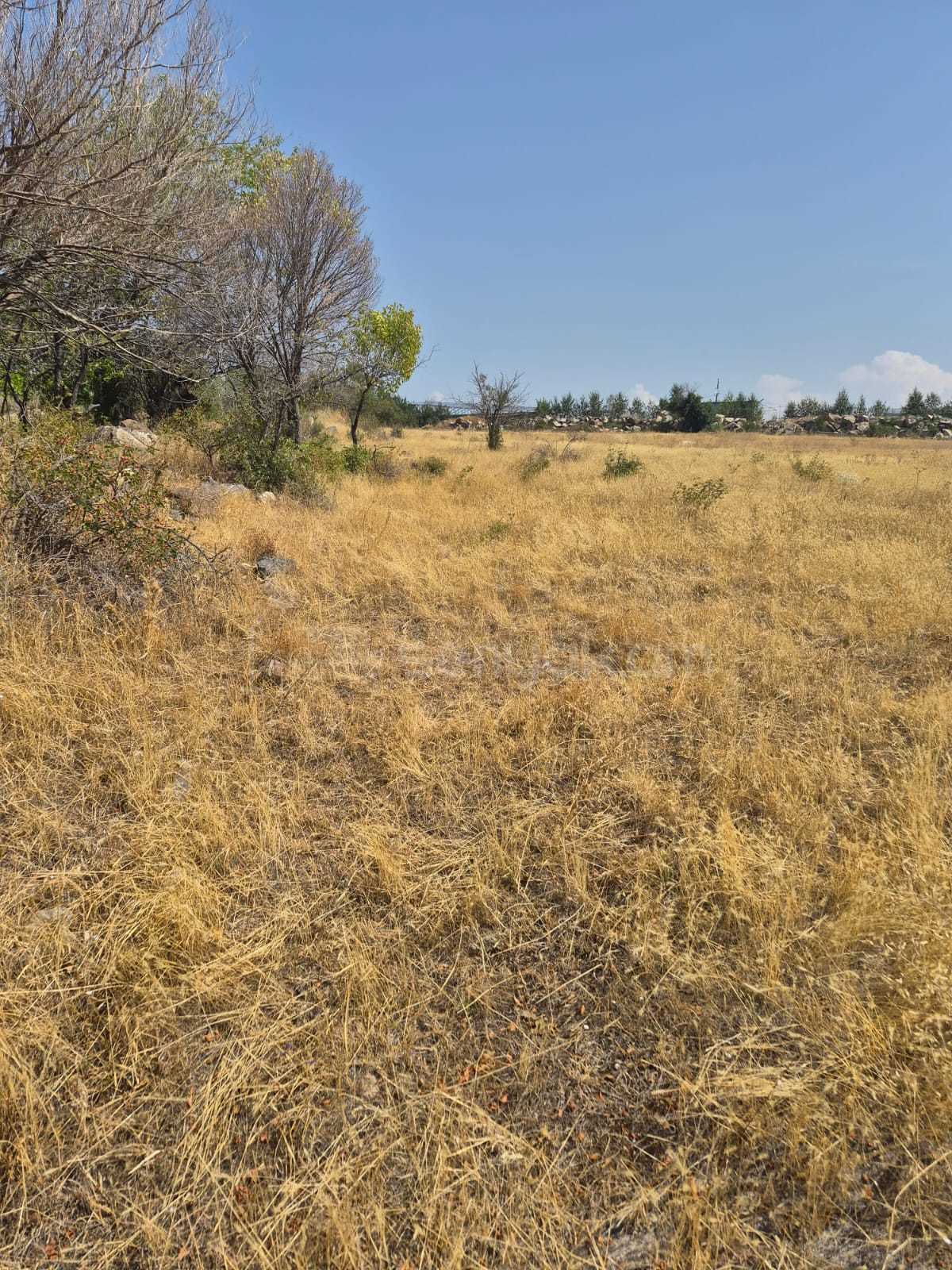 Հողատարածք, 2000քմ