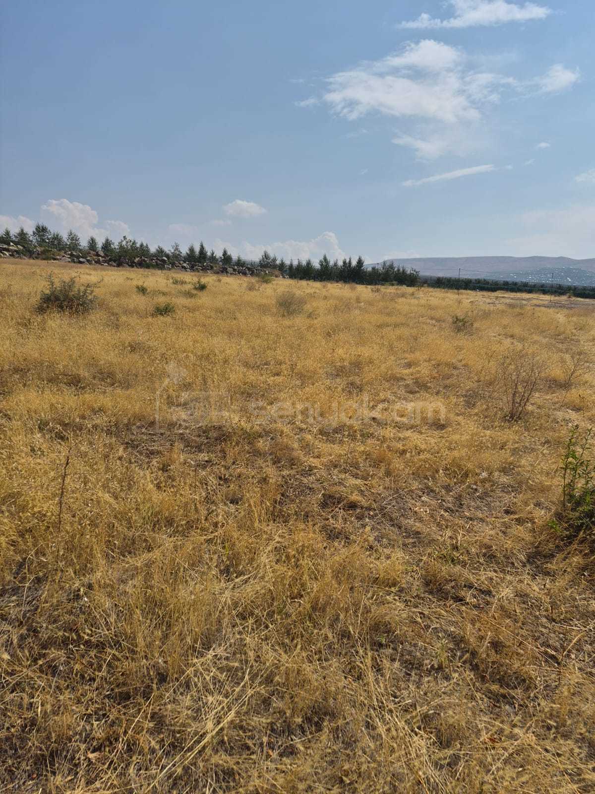 Հողատարածք, 2000քմ