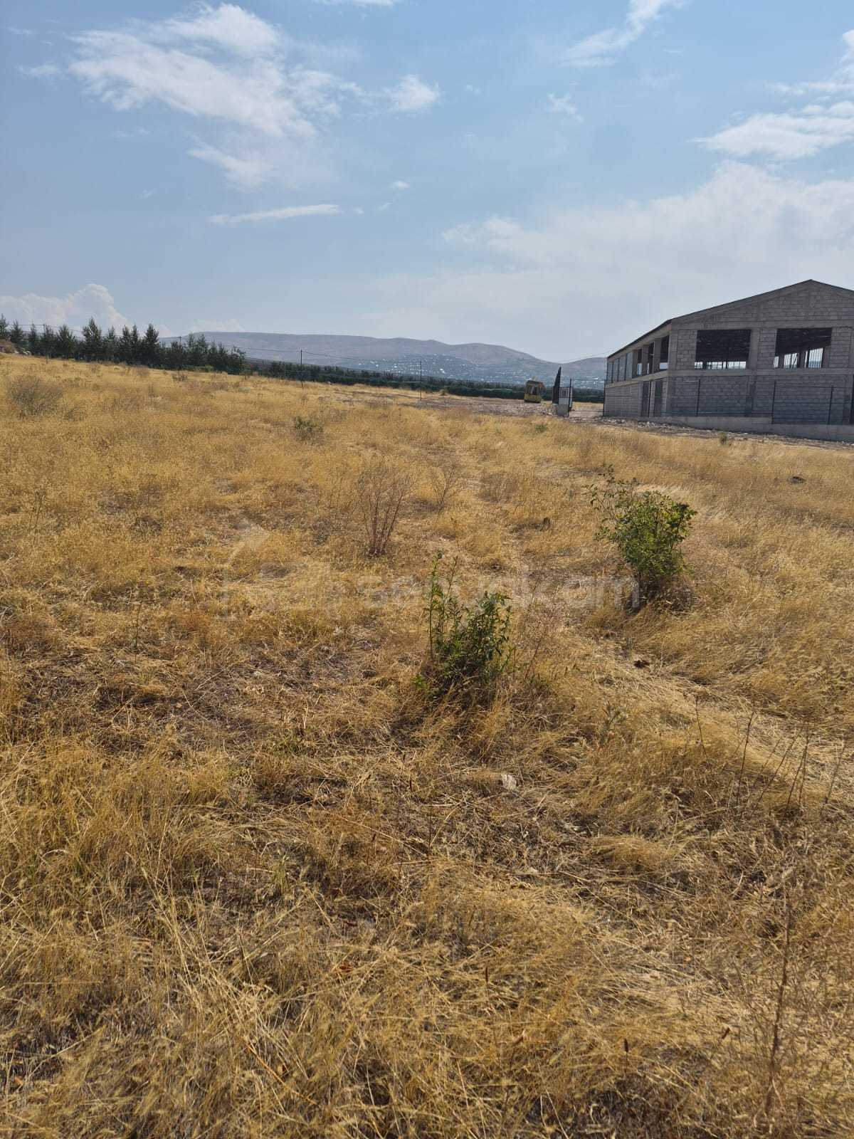Հողատարածք, 2000քմ