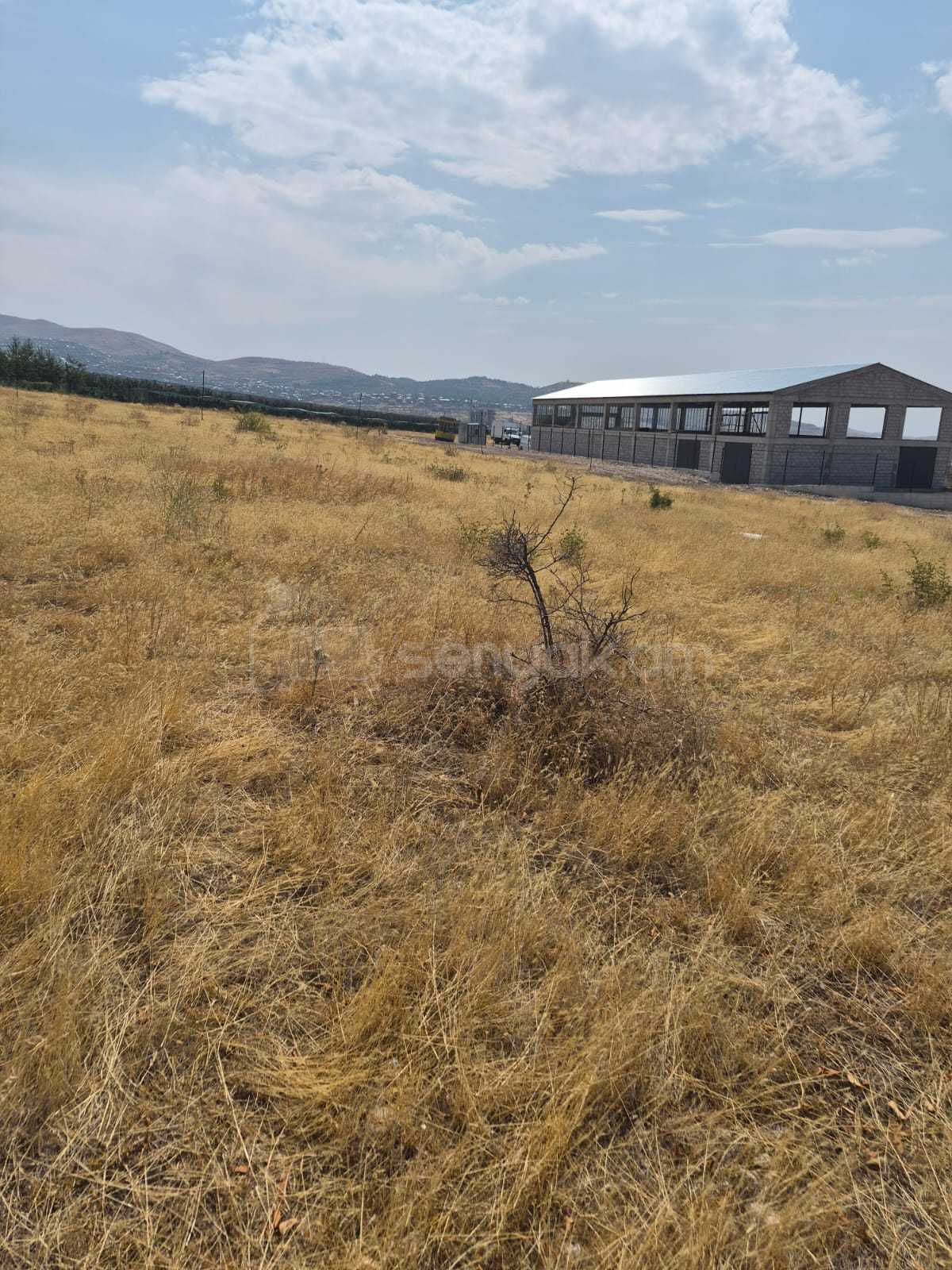 Հողատարածք, 2000քմ