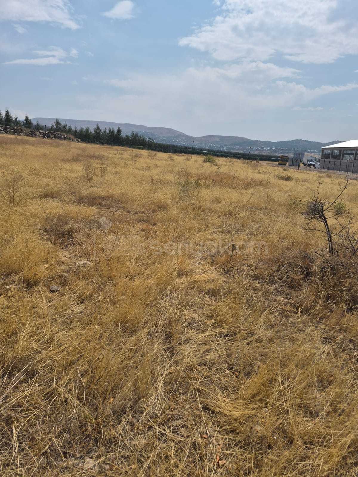 Հողատարածք, 2000քմ