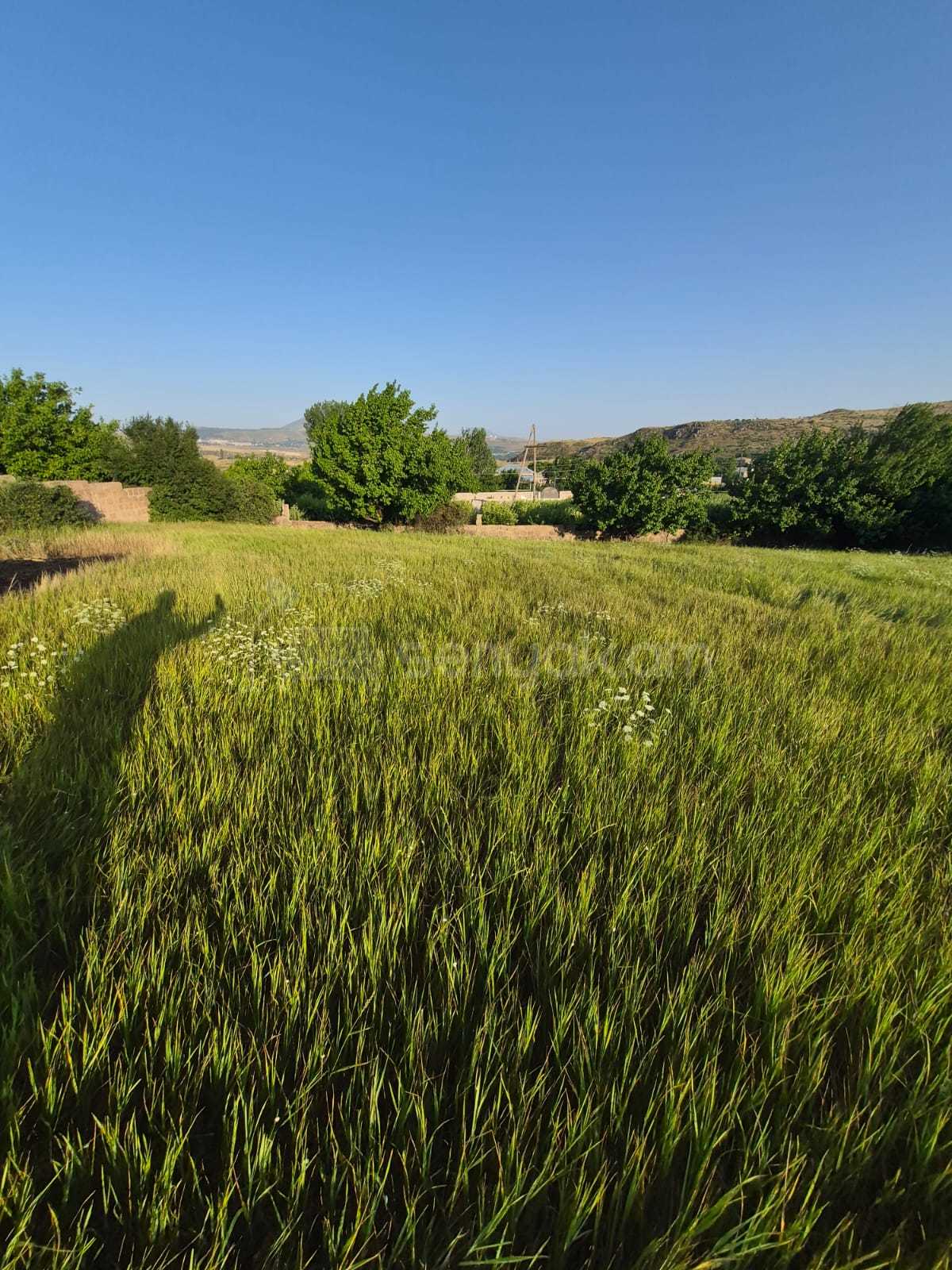 Բնակելի Նշանակության Հողատարածք, 1200քմ, Պարսպապատ