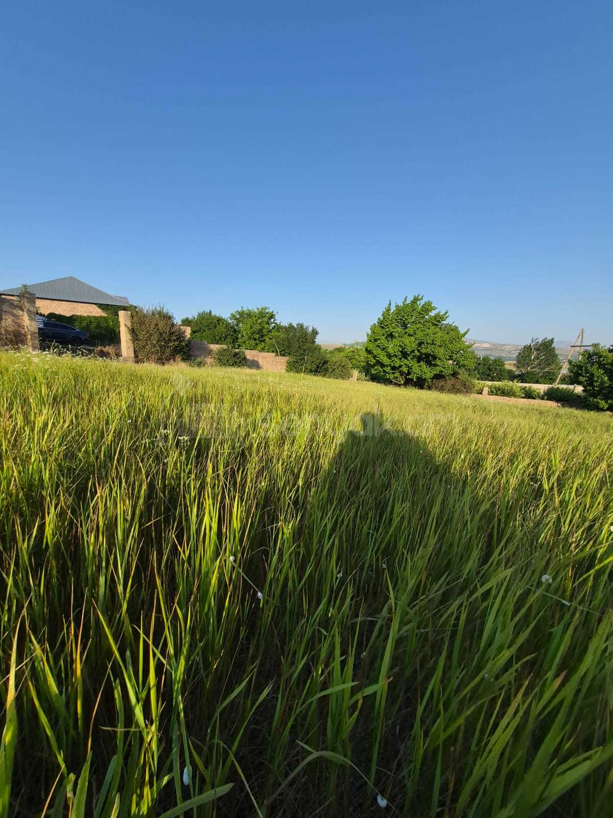 Բնակելի Նշանակության Հողատարածք, 1200քմ, Պարսպապատ
