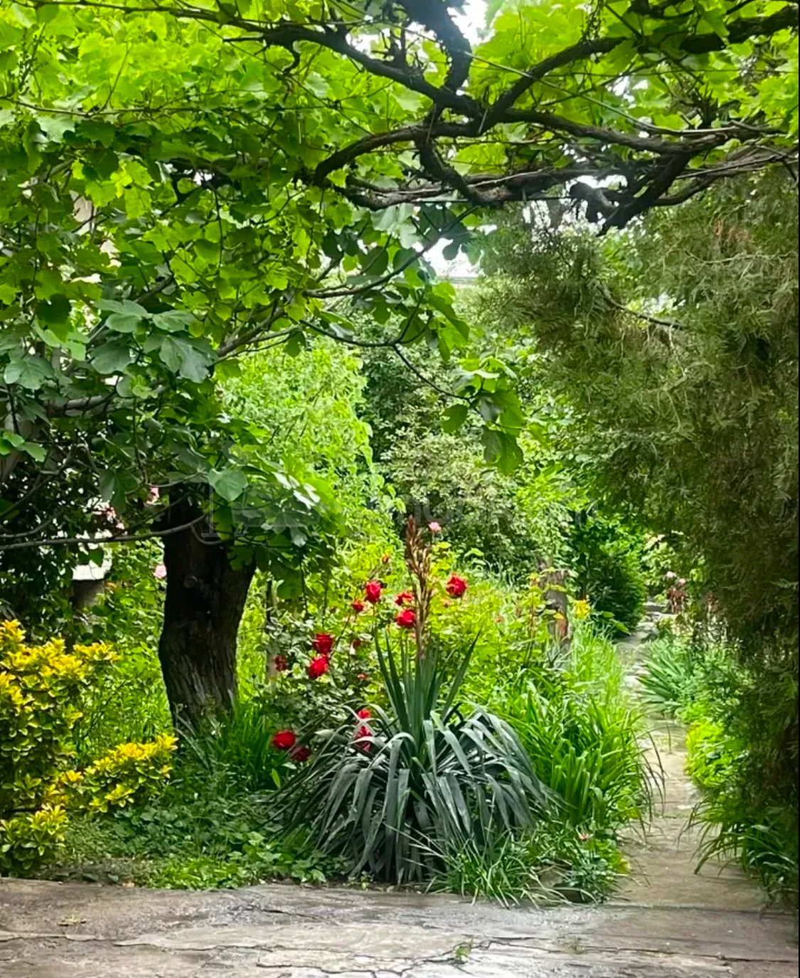 1 Սենյականոց Սեփական Տուն, 42քմ, Կապիտալ Վերանորոգված, Կահավորված