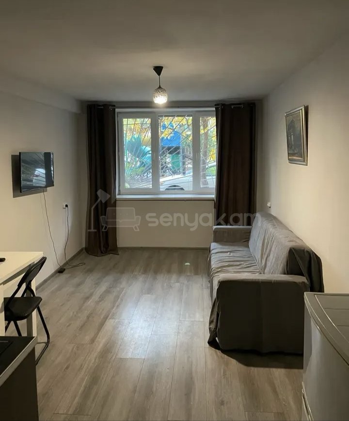 1 Սենյականոց Բնակարան Քարե Շենքում, 42քմ, 3/5 հարկ, Նորմալ Վիճակում, Կահավորված