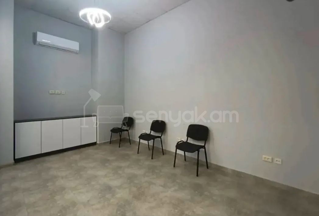 Օֆիսային Տարածք, 250քմ, Կապիտալ Վերանորոգված