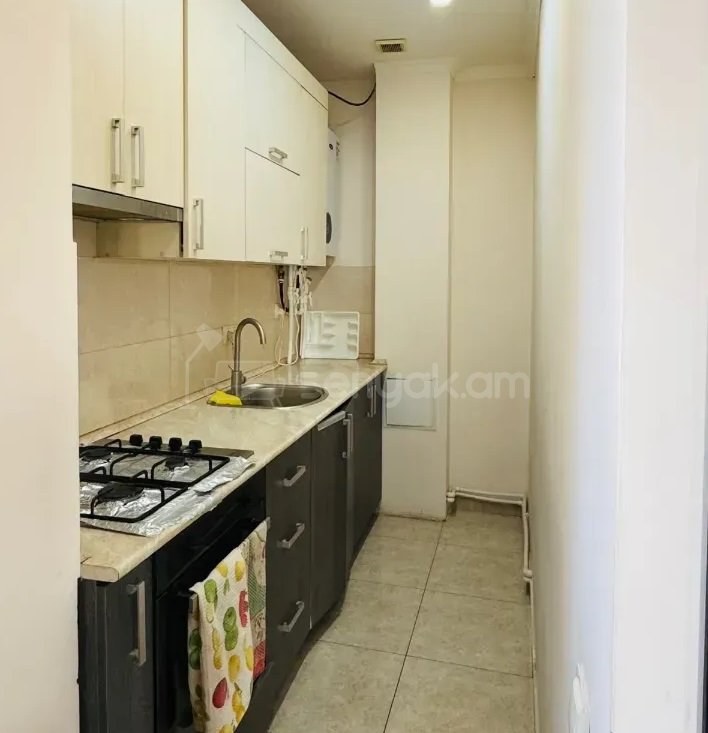 3 Սենյականոց Բնակարան, 52քմ, 5/9 հարկ, Կապիտալ Վերանորոգված