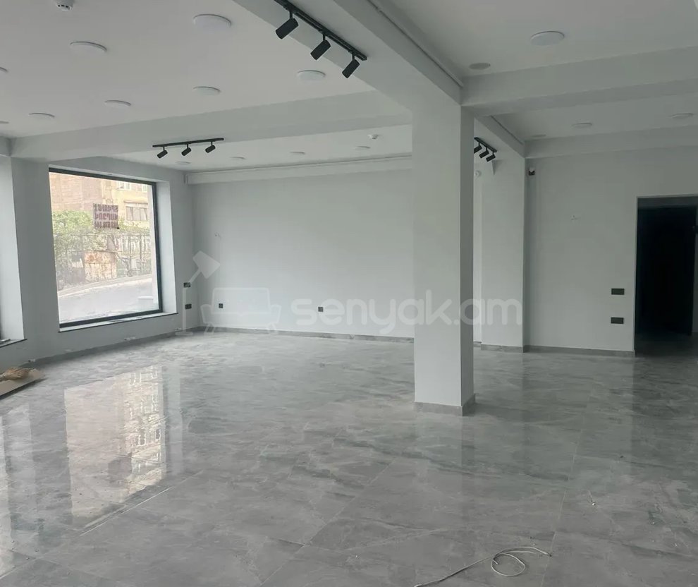 Օֆիսային Տարածք, 95քմ, Կապիտալ Վերանորոգված