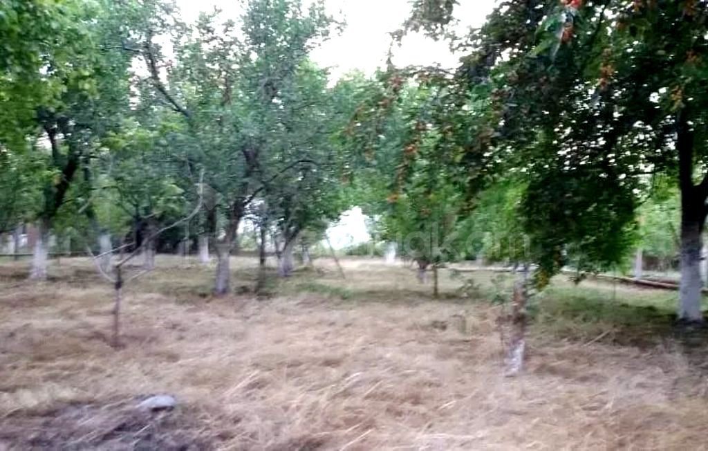 3 Սենյականոց Սեփական Տուն, 135քմ, Դիզայներական Վերանորոգված, Ավտոտնակով