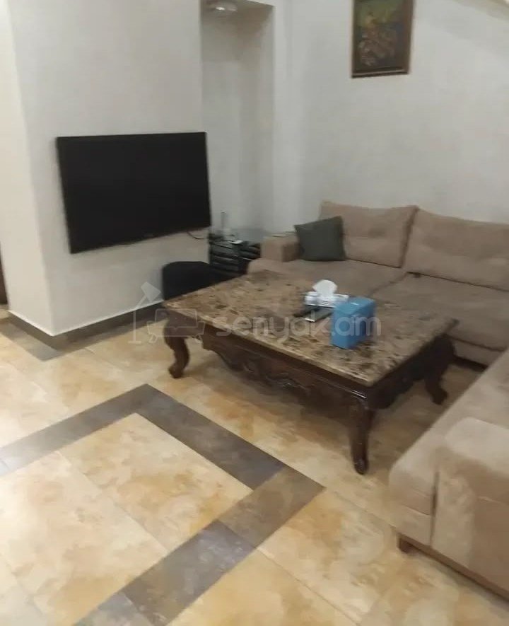 5 Սենյականոց Բնակարան Քարե Շենքում, 210քմ, 2/3 հարկ, Դիզայներական Վերանորոգված, Կահավորված, Արևկող