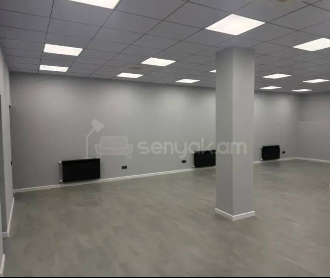 Օֆիսային Տարածք, 120քմ, Կապիտալ Վերանորոգված