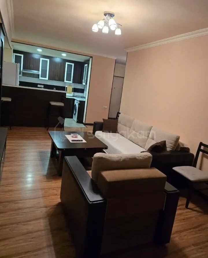 2 Սենյականոց Բնակարան, 45քմ, 1/9 հարկ, Կապիտալ Վերանորոգված