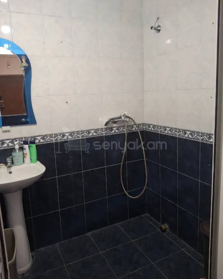3 Սենյականոց Բնակարան, 77քմ, 3/9 հարկ, Կոսմետիկ Վերանորոգված, Կահավորված