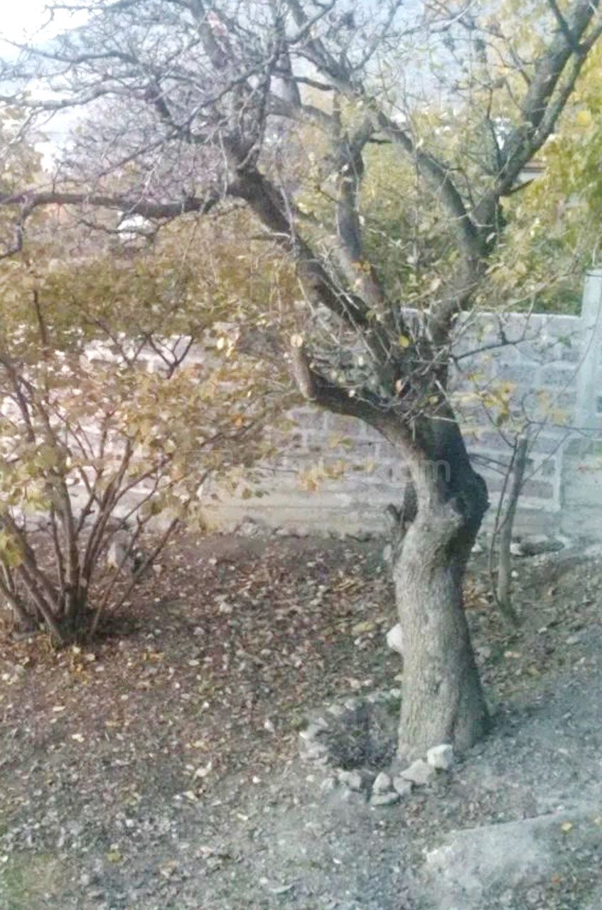 4 Սենյականոց Սեփական Տուն, 225քմ