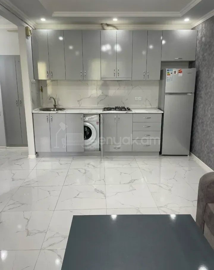 2 Սենյականոց Բնակարան Քարե Շենքում, 45քմ, 3/5 հարկ, Կապիտալ Վերանորոգված, Կահավորված, Արևկող