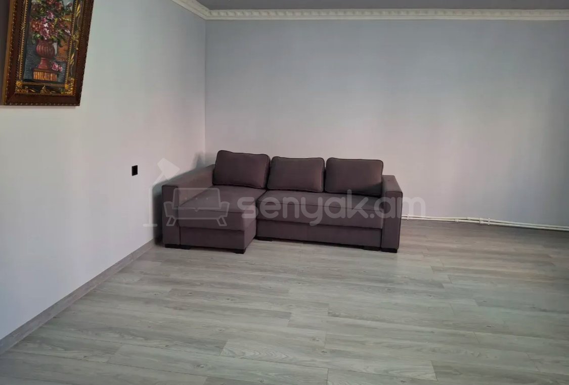 3 Սենյականոց Բնակարան, 77քմ, 3/9 հարկ, Կապիտալ Վերանորոգված, Կահավորված