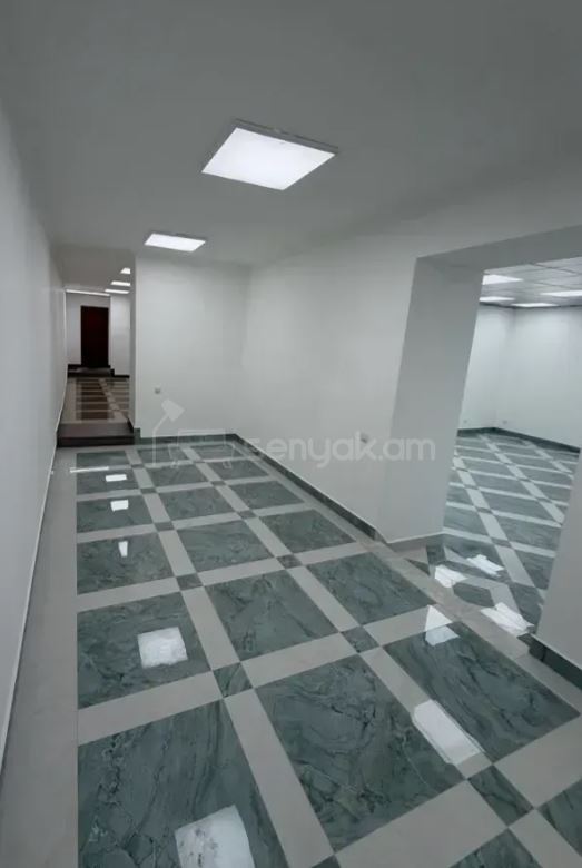 Օֆիսային Տարածք, 150քմ, Կապիտալ Վերանորոգված