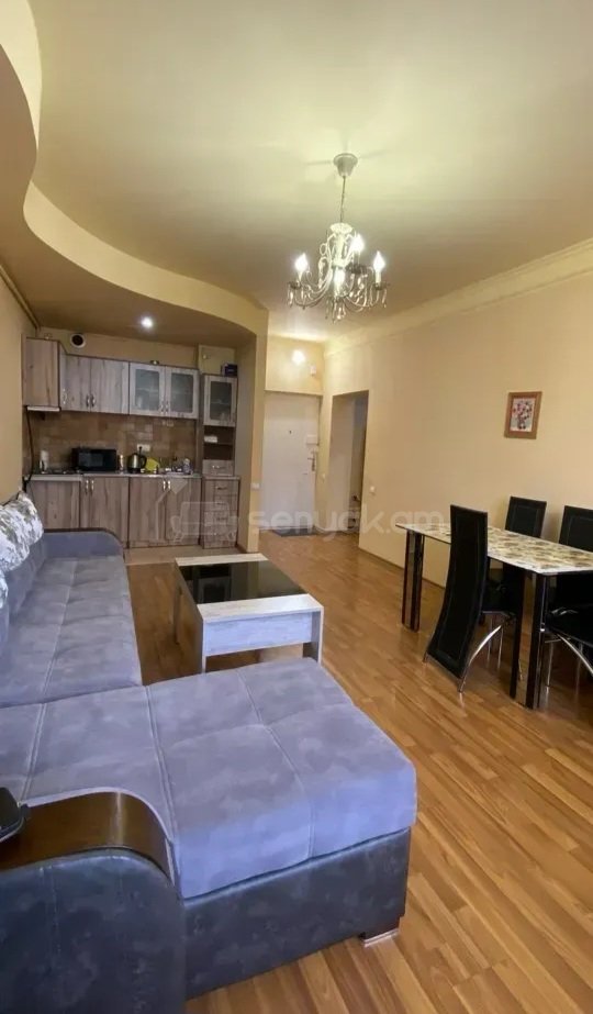 2 Սենյականոց Բնակարան Քարե Շենքում, 45քմ, 2/9 հարկ, Կապիտալ Վերանորոգված, Կահավորված