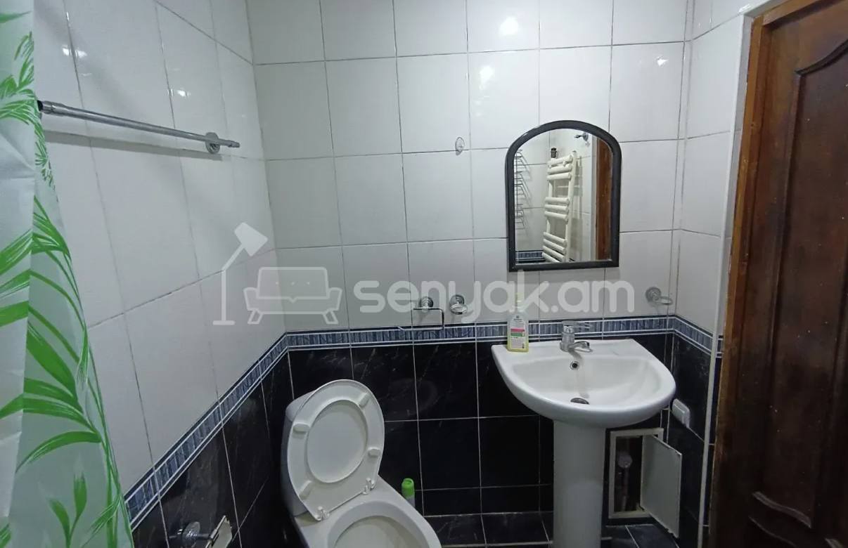 3 Սենյականոց Բնակարան, 78քմ, 4/9 հարկ, Կապիտալ Վերանորոգված, Կահավորված