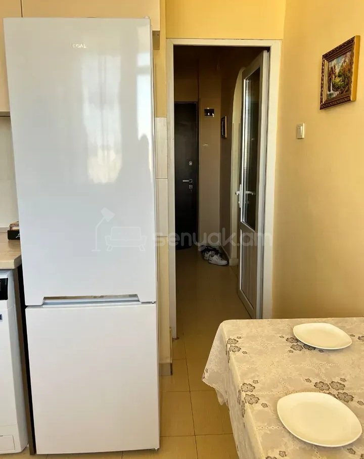 1 Սենյականոց Բնակարան Քարե Շենքում, 43քմ, 8/9 հարկ, Կապիտալ Վերանորոգված, Կահավորված