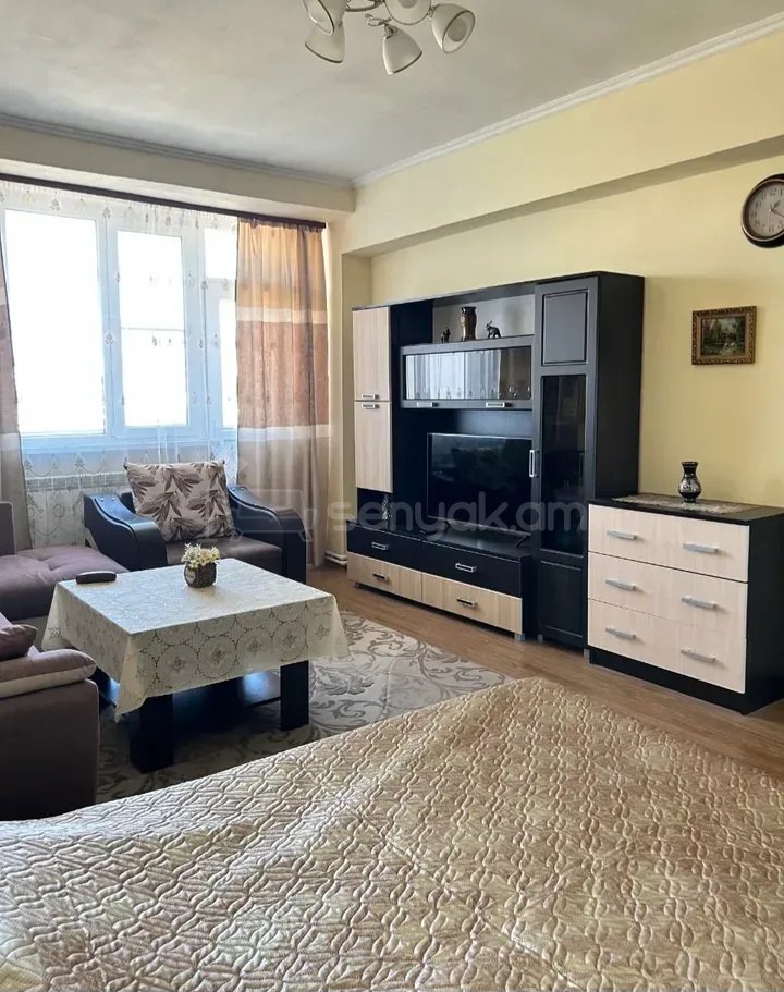 1 Սենյականոց Բնակարան Քարե Շենքում, 43քմ, 8/9 հարկ, Կապիտալ Վերանորոգված, Կահավորված