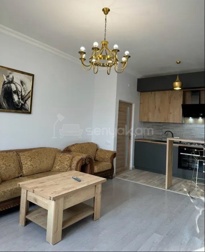 3 Սենյականոց Բնակարան, 50քմ, 3/17 հարկ, Կապիտալ Վերանորոգված, Կահավորված, Արևկող