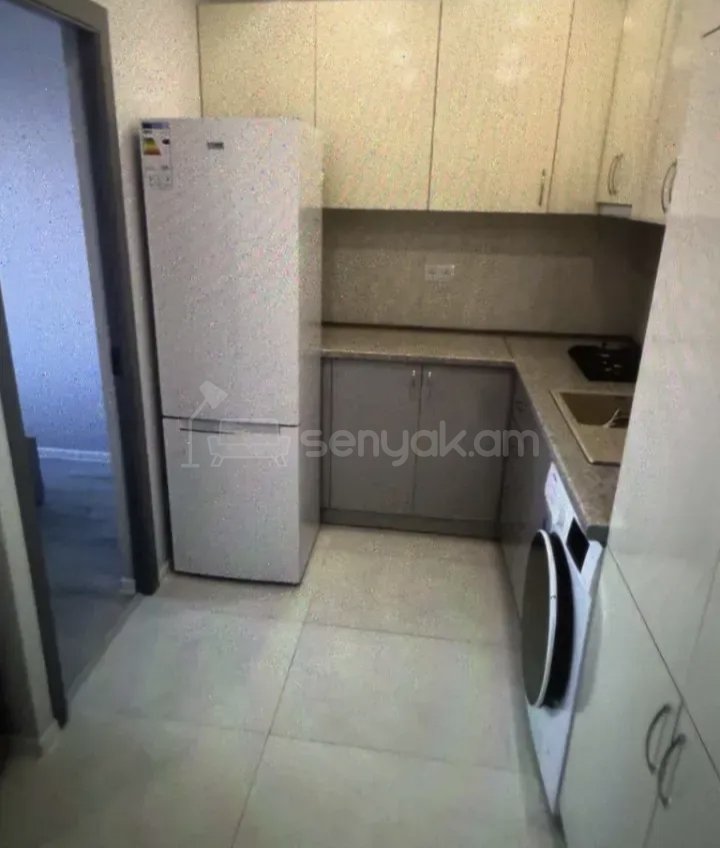 2 Սենյականոց Բնակարան Քարե Շենքում, 56քմ, 4/9 հարկ, Կապիտալ Վերանորոգված, Կահավորված