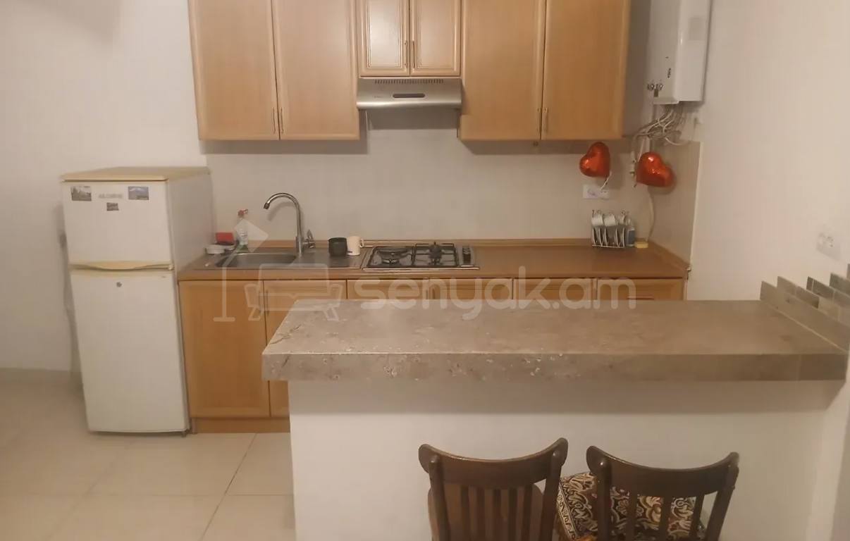 1 Սենյականոց Բնակարան Քարե Շենքում, 30քմ, 4/5 հարկ, Կոսմետիկ Վերանորոգված, Կահավորված