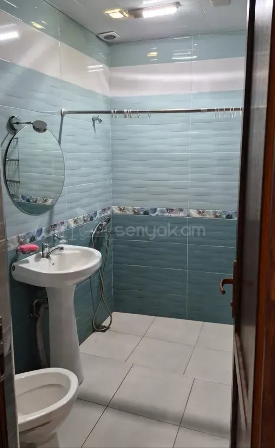 2 Սենյականոց Բնակարան Քարե Շենքում, 52քմ, 1/1 հարկ, Կապիտալ Վերանորոգված, Կահավորված