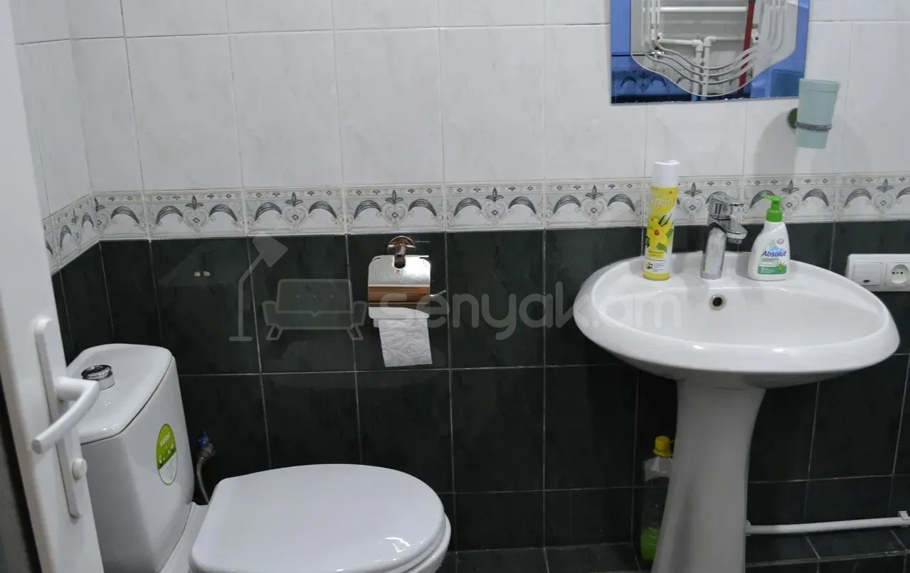 3 Սենյականոց Բնակարան, 65քմ, 5/9 հարկ, Նորմալ Վիճակում, Կահավորված