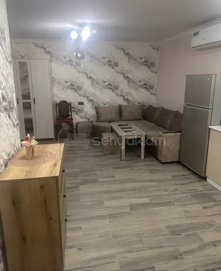 1 Սենյականոց Բնակարան Քարե Շենքում, 35քմ, 1/1 հարկ, Կապիտալ Վերանորոգված, Կահավորված
