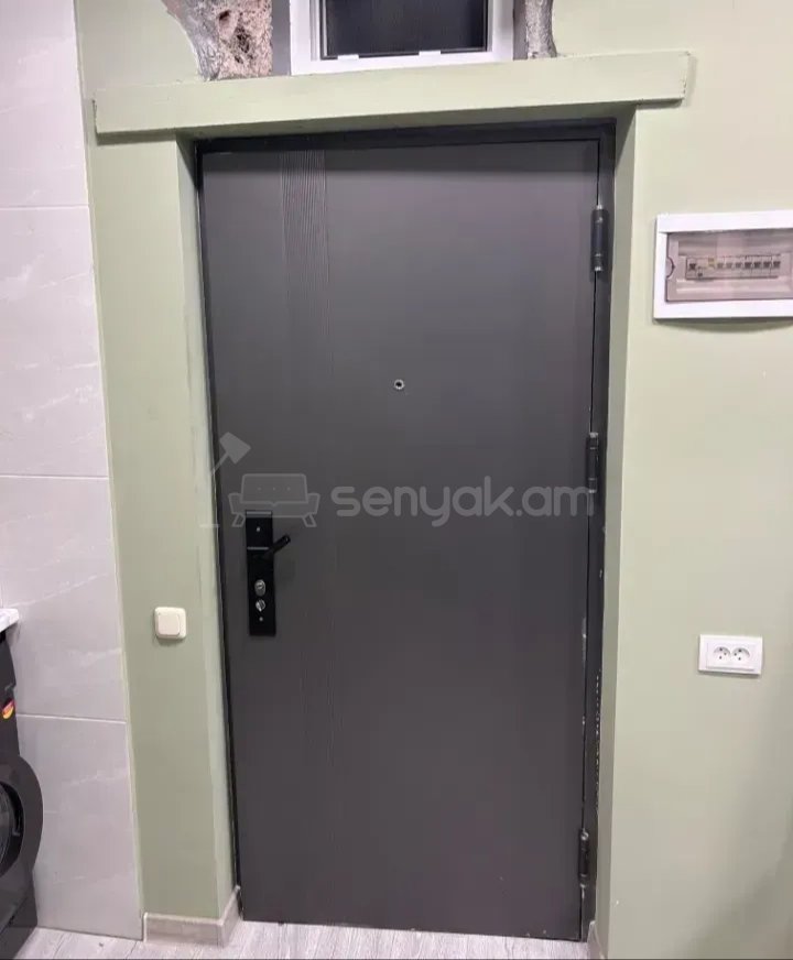 1 Սենյականոց Բնակարան Քարե Շենքում, 35քմ, 1/1 հարկ, Կապիտալ Վերանորոգված, Կահավորված