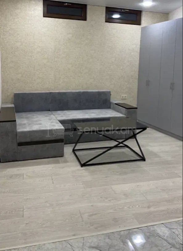 1 Սենյականոց Բնակարան Քարե Շենքում, 25քմ, 1/1 հարկ, Կապիտալ Վերանորոգված, Կահավորված