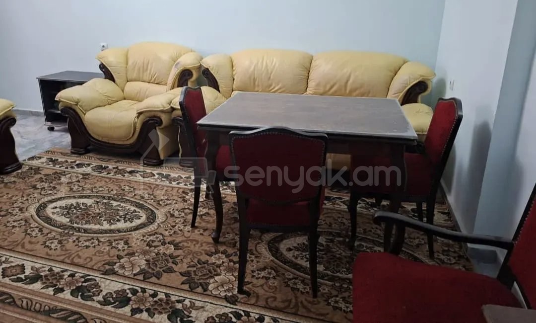 2 Սենյականոց Բնակարան Քարե Շենքում, 46քմ, 1/1 հարկ, Կապիտալ Վերանորոգված, Կահավորված