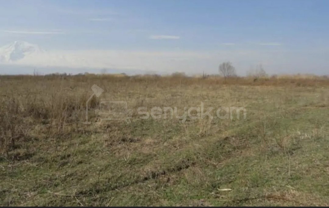 Հողամաս, 19700քմ, Ոռոգման Ջրով, Էլեկտրականությամբ