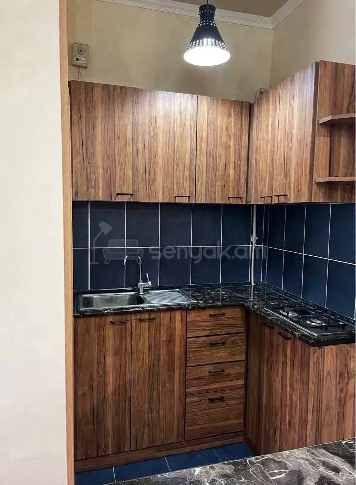 2 Սենյականոց Բնակարան Քարե Շենքում, 40քմ, 2/5 հարկ, Դիզայներական Վերանորոգված, Կահավորված, Արևկող