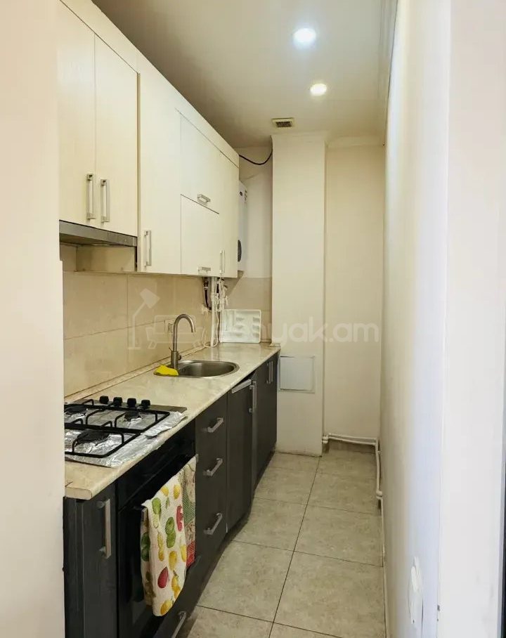 3 Սենյականոց Բնակարան, 53քմ, 5/9 հարկ, Կապիտալ Վերանորոգված