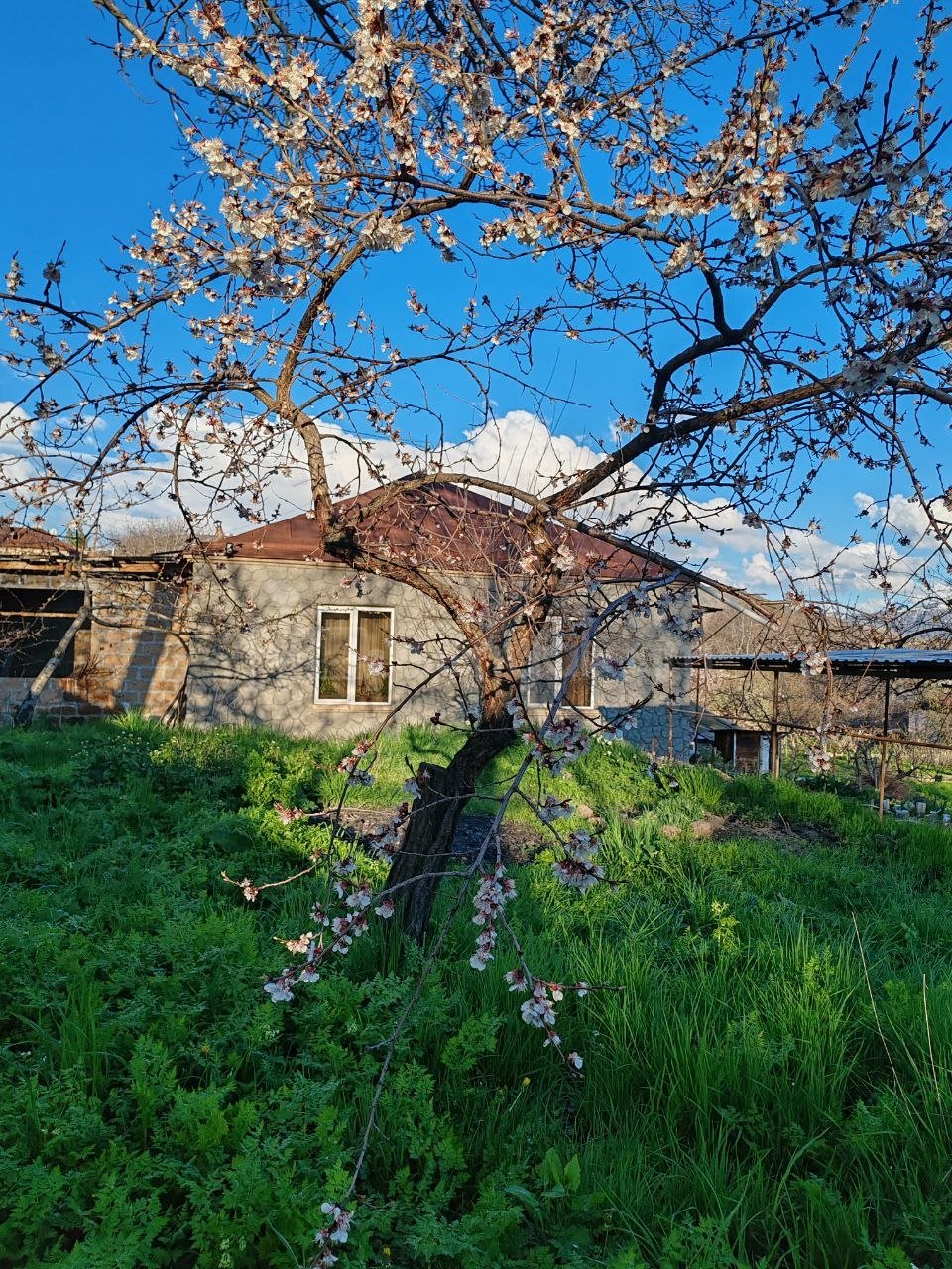 4 Սենյականոց Սեփական Տուն, 130քմ, Դիզայներական Վերանորոգված