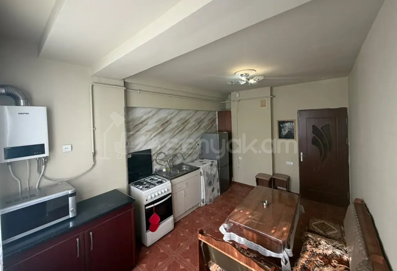 1 Սենյականոց Բնակարան Քարե Շենքում, 38քմ, 2/11 հարկ, Կապիտալ Վերանորոգված, Կահավորված